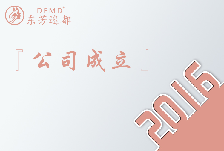 2016 公司成立